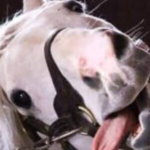 Profile photo of YASU