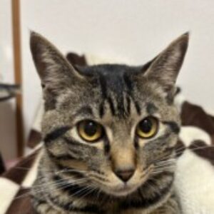 Profile photo of Hana