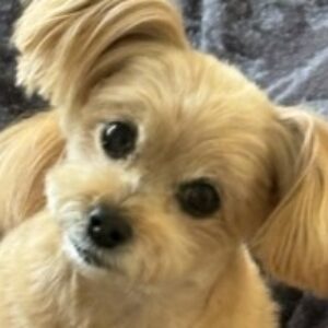 Profile photo of TOSHIE.NISHIZAWA
